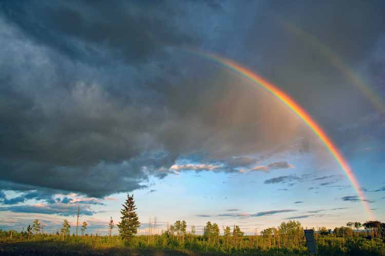 rainbow